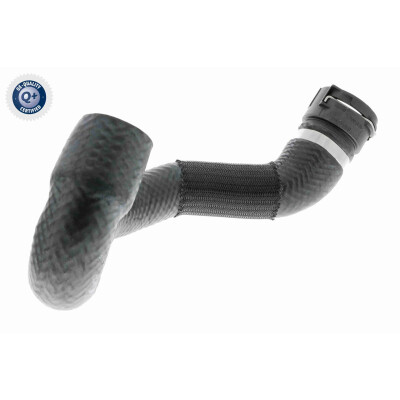Tubo flexível do radiador
