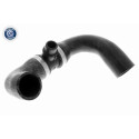 Tubo flexível do radiador
