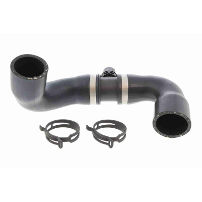 Tubo flexível do radiador