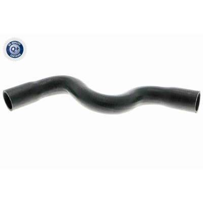 Tubo flexível do radiador