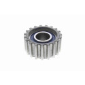Rolo tensor, correia dentada