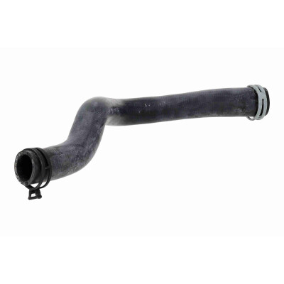 Tubo flexível do radiador