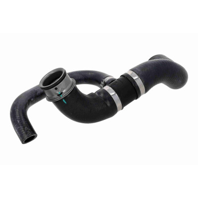 Tubo flexível do radiador
