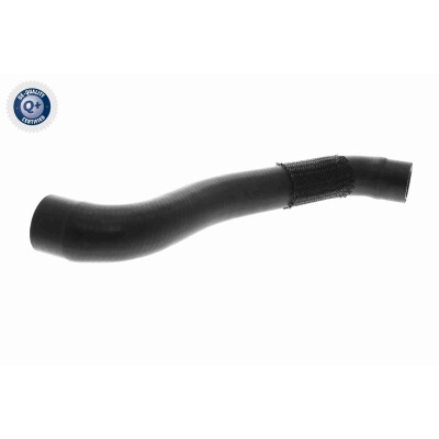Tubo flexível do radiador