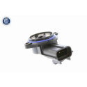 Sensor, posição borboleta