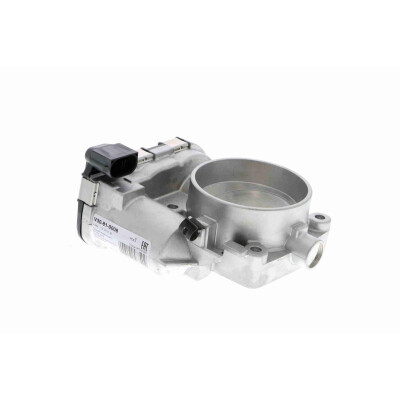 Corpo de borboleta