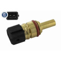 Sensor, temperatura de combustível