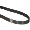 Correia dentada DAYCO 94444
