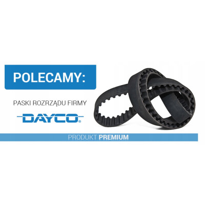 Correia dentada DAYCO 94554