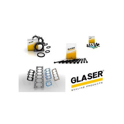 Conjunto completo de juntas, motor GLASER S36730-00