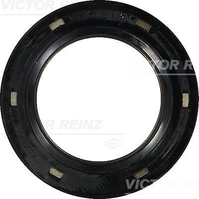 Anel de vedação, virabrequim GLASER P77391-01