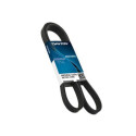 Correia dentada DAYCO 94773