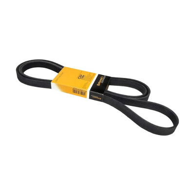 Correia V-poli V ContiTech 6 PK 2585