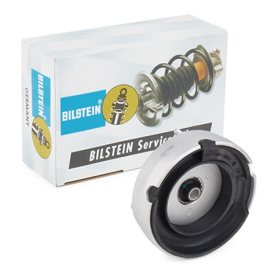 Rolamento de coluna de suspensão BILSTEIN 12-304387