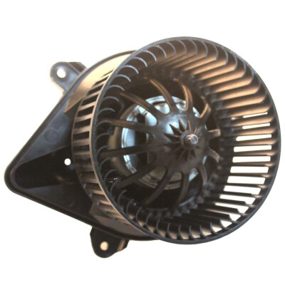 Ventilador do habitáculo