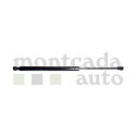 Mola pneumática, capot do motor