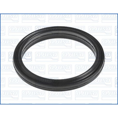 Junta, flange do líquido de refrigeração