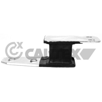 Suporte, sistema de escape 756678 CAUTEX/FACET