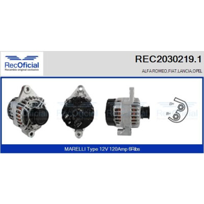 Alternador REC20302191 RECOFICIAL