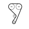 Bomba de água + kit de correia dentada CT1211WP1 CONTINENTAL CTAM