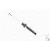 Conjunto de amortecedores MONROE Reflex E-2041